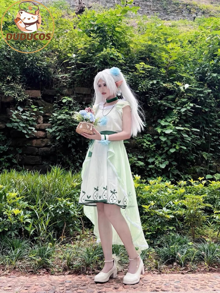 Anime Frieren: Beyond Journey' - Anime Cosplay Wig review and price